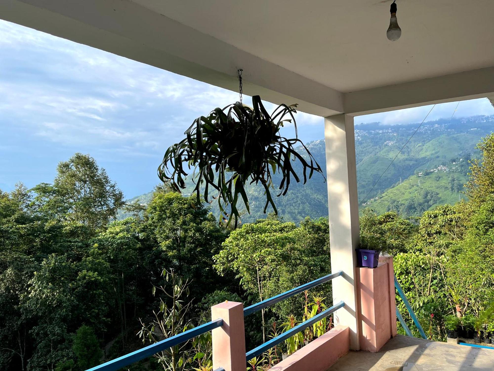 Hosanna Homestay Darjeeling  Bagian luar foto