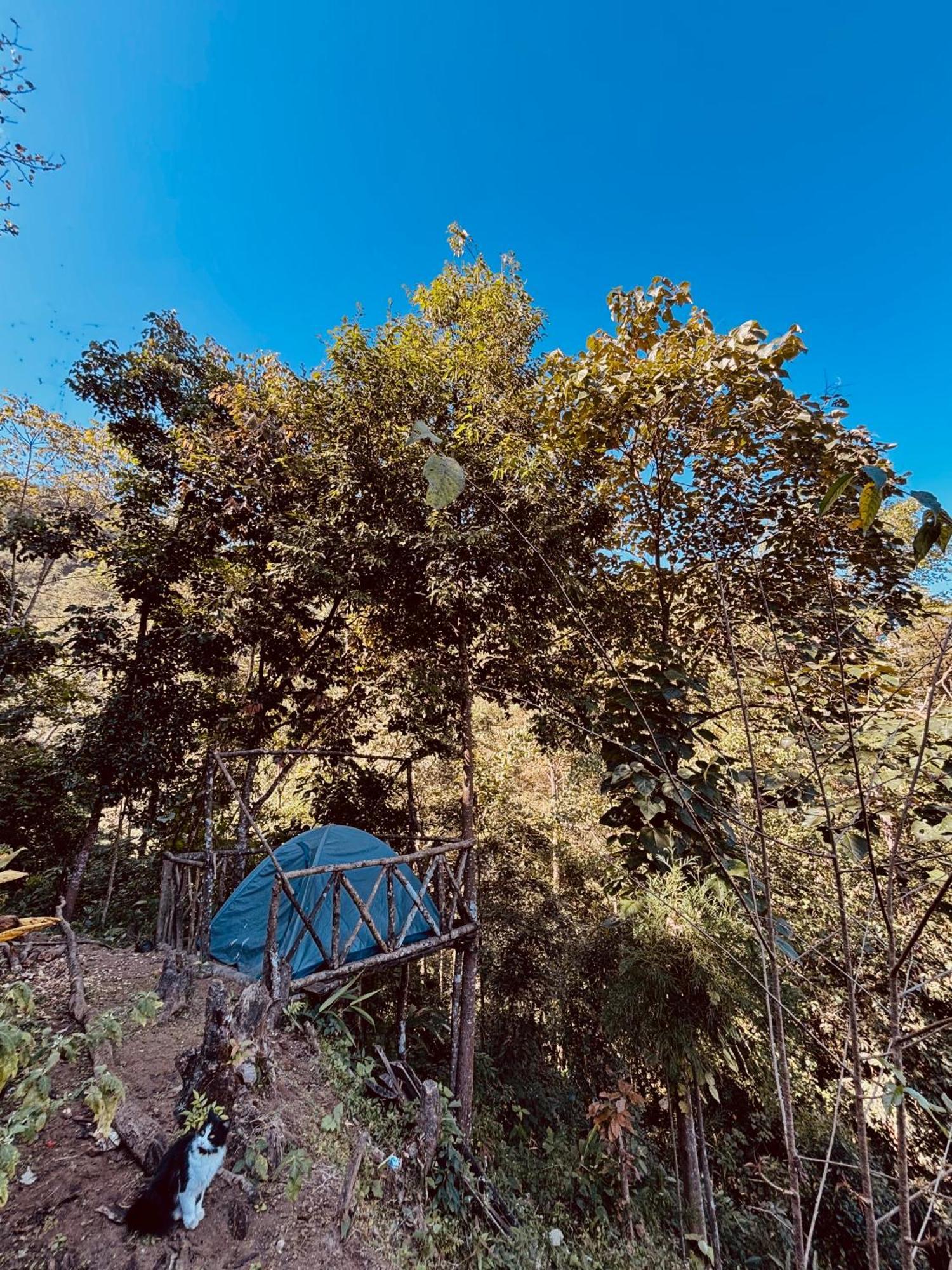 Hosanna Homestay Darjeeling  Bagian luar foto
