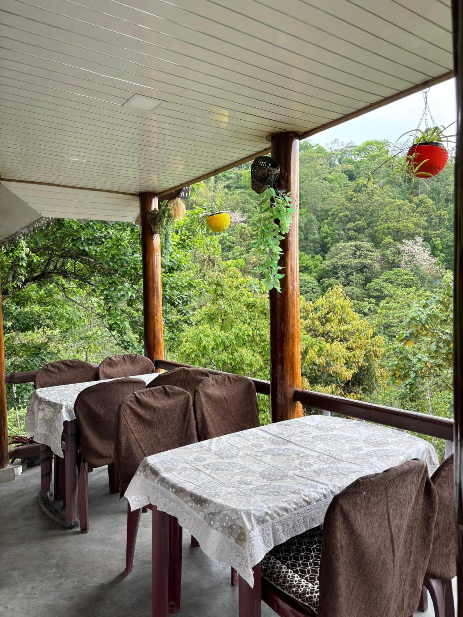 Hosanna Homestay Darjeeling  Bagian luar foto