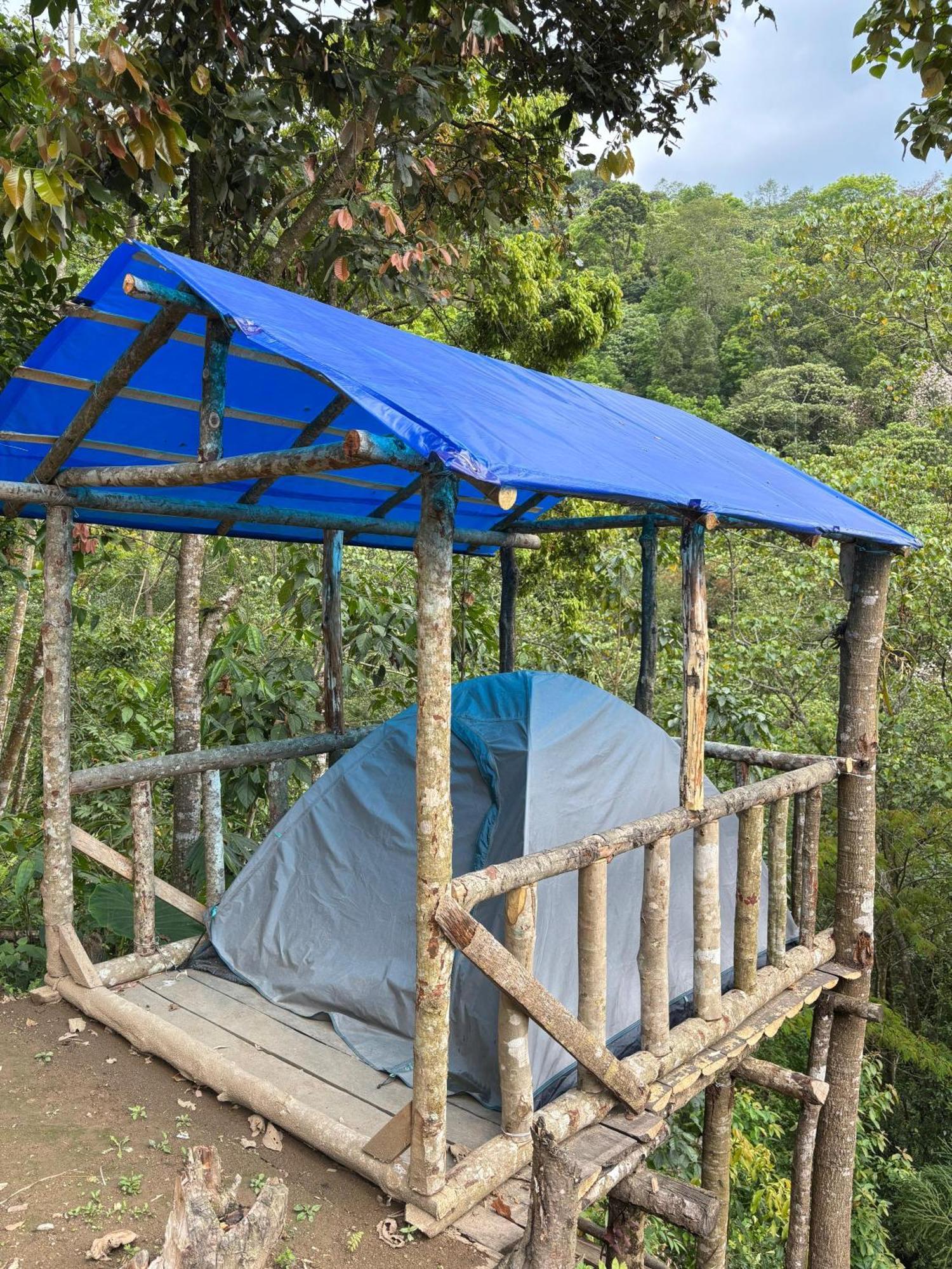 Hosanna Homestay Darjeeling  Bagian luar foto